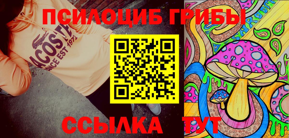 Подольск  купить наркотики сайты  Вход с VPN  Галлюциногенные грибы Psilocybine cubensis 