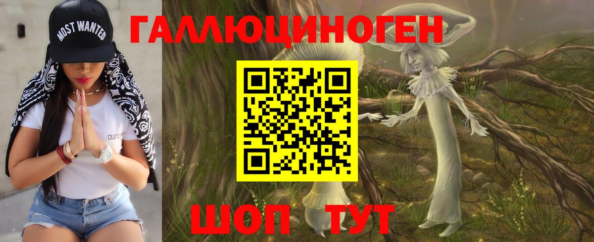 Псилоцибиновые грибы мицелий Подольск